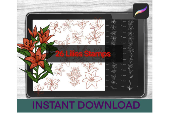 Download Lily Brushes Procreate Stamps - Procreate Collection
