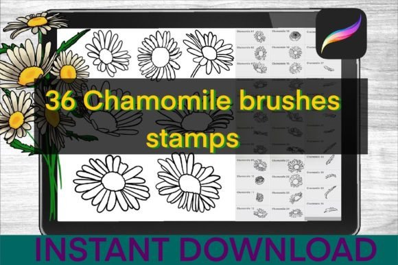 Download Chamomile Brushes Procreate Stamps - Procreate Collection