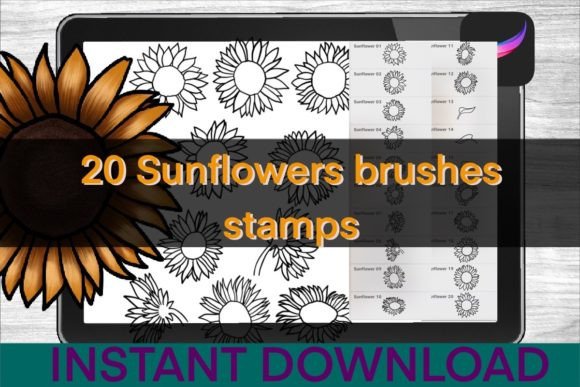 Download Sunflower Brushes Procreate Stamps - Procreate Collection