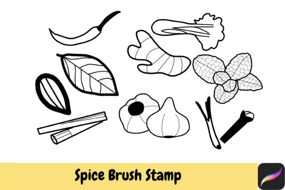 Download Spice Herb Brush Stamps Procreate - Procreate Collection