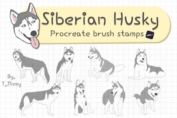 Download Siberian Husky Procreate Brush Stamps - Procreate Collection